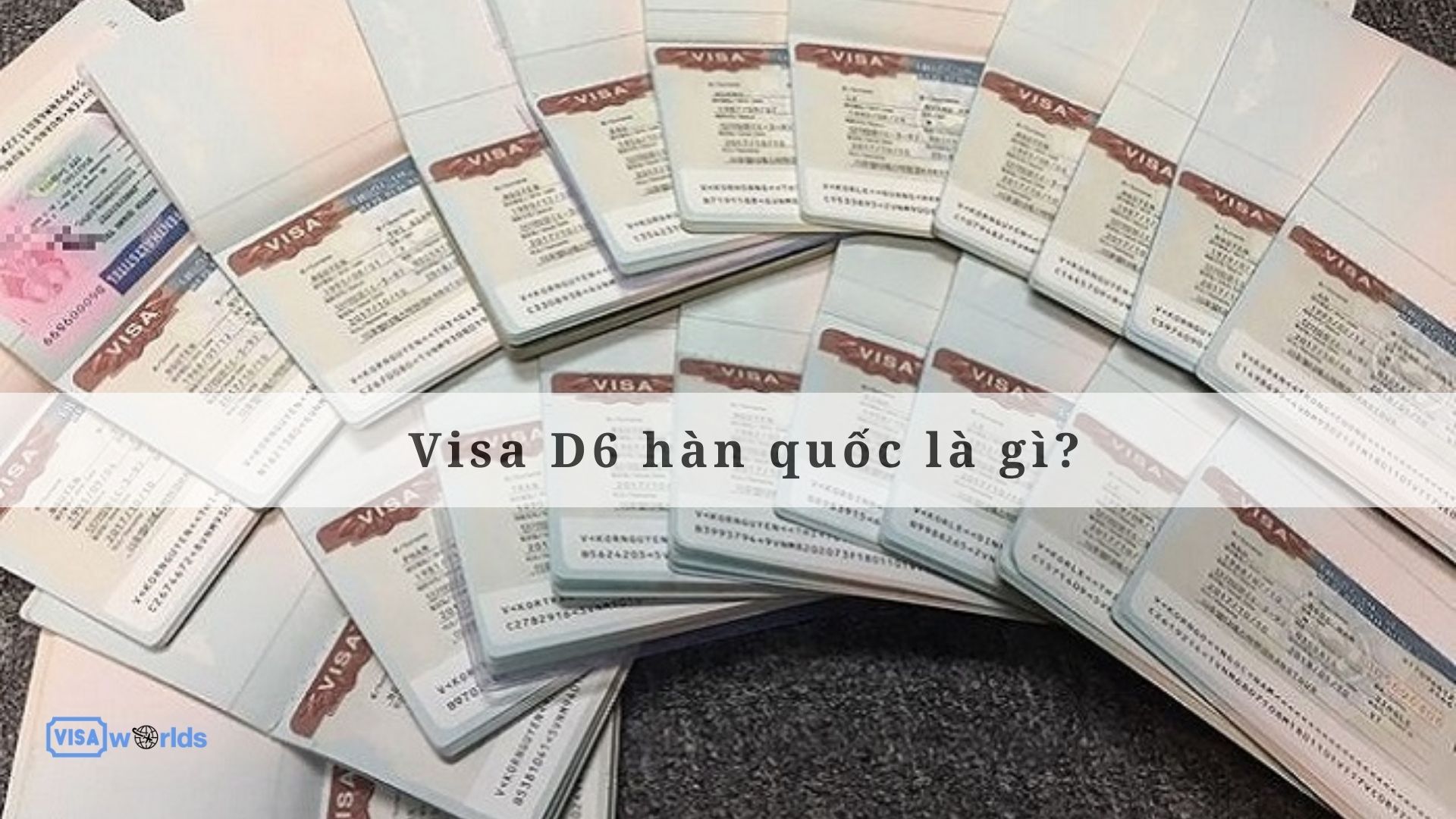 Visa D6 hàn quốc là gì