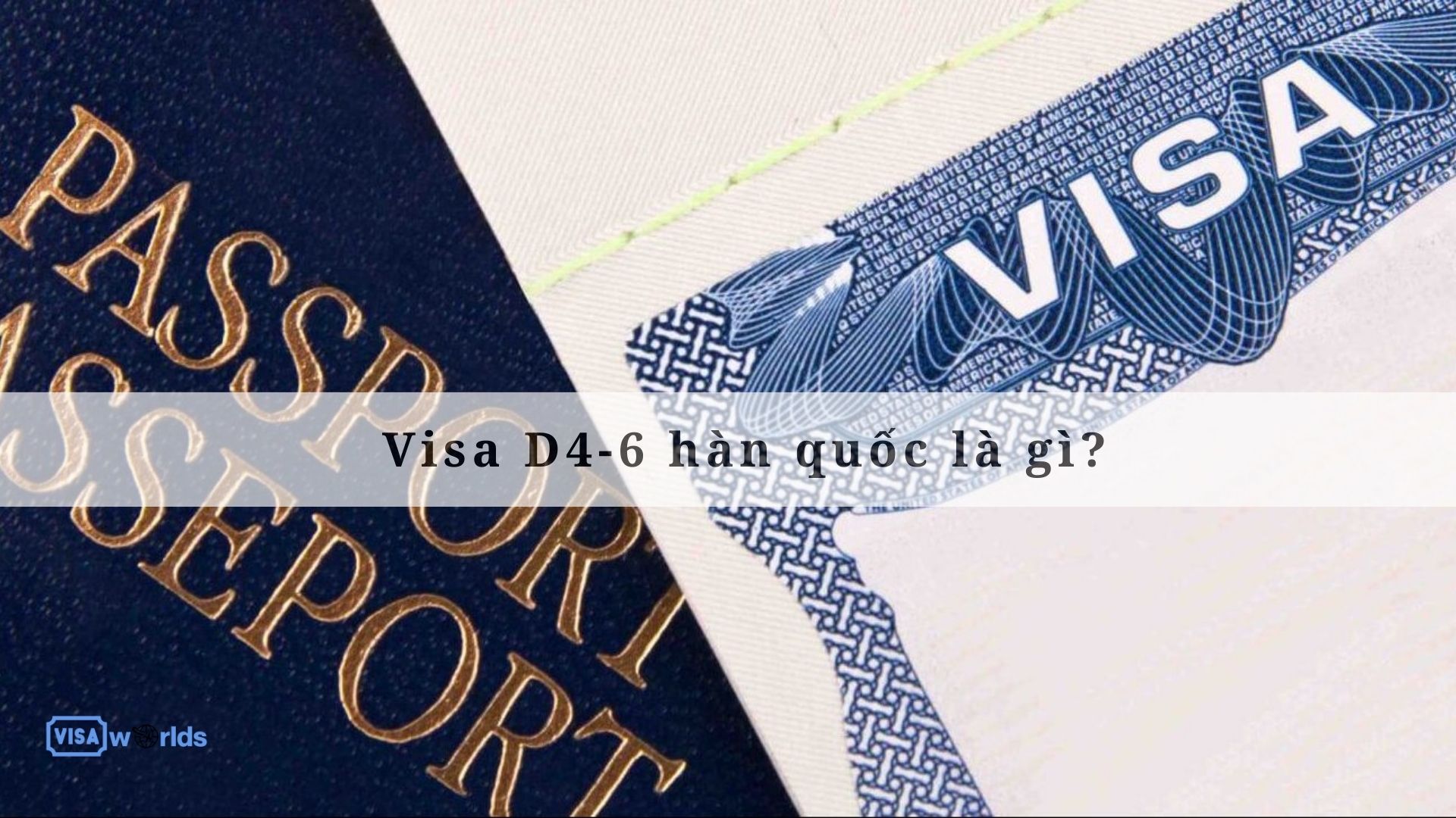 Visa D4-6 hàn quốc là gì