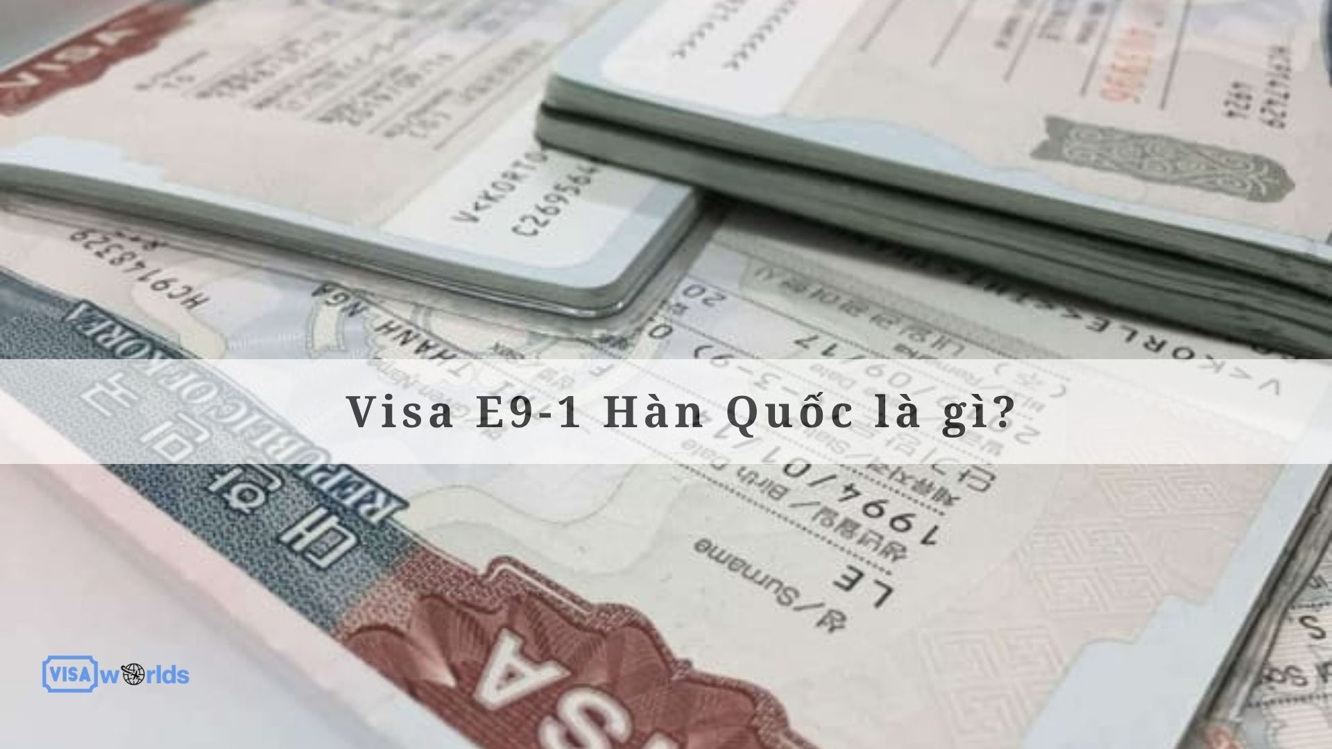 Visa E9-1 Hàn Quốc là gì