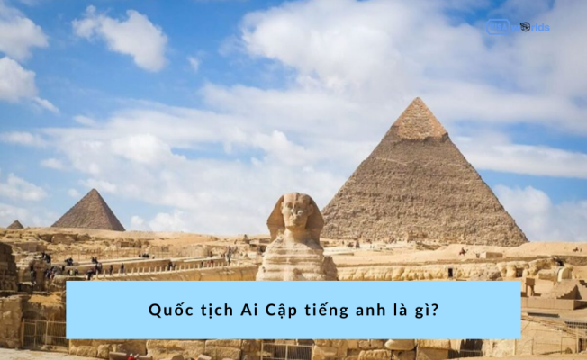 AI tiếng Anh là gì - Giải thích và phân tích chi tiết