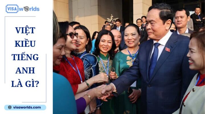 Việt kiều tiếng anh là gì?