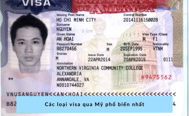 Các loại visa qua Mỹ phổ biến nhất 