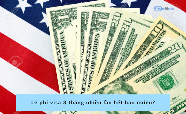 Lệ phí visa 3 tháng nhiều lần hết bao nhiêu?