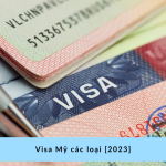 Visa Mỹ các loại [2023]