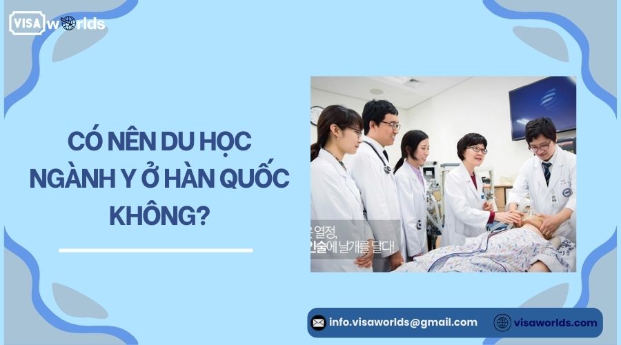 Có nên du học ngành y ở Hàn Quốc không?