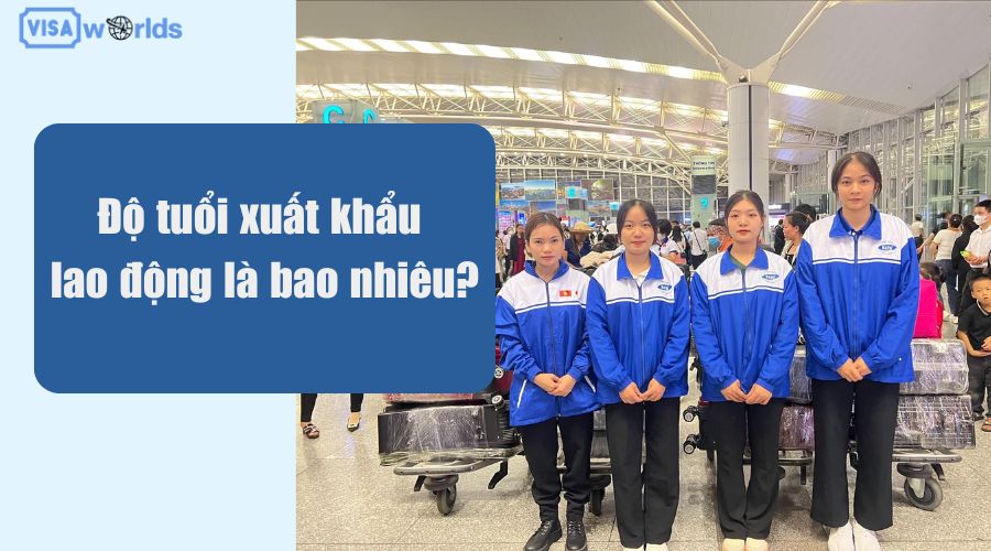 Độ tuổi xuất khẩu lao động là bao nhiêu?