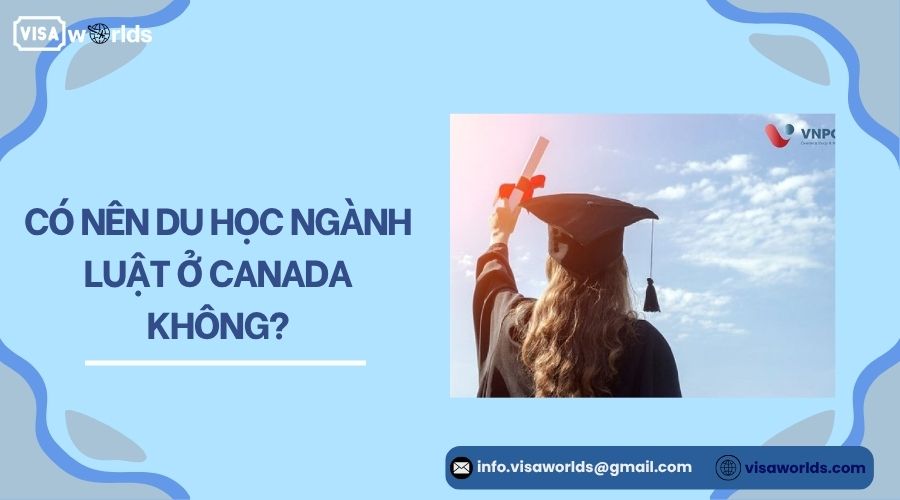 Có nên du học ngành luật ở Canada không?.jpg