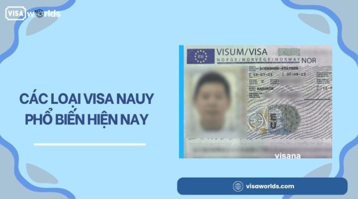 Các loại visa Nauy phổ biến hiện nay.jpg
