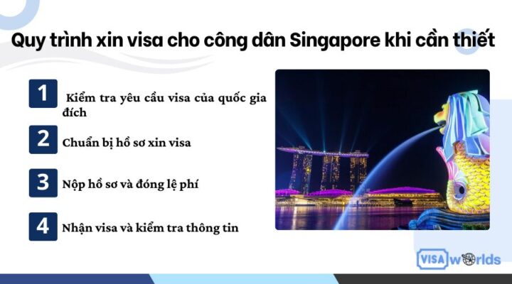 Quy trình xin visa cho công dân Singapore khi cần thiết