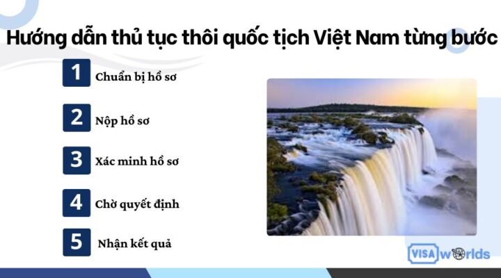 Hướng dẫn thủ tục thôi quốc tịch Việt Nam từng bước