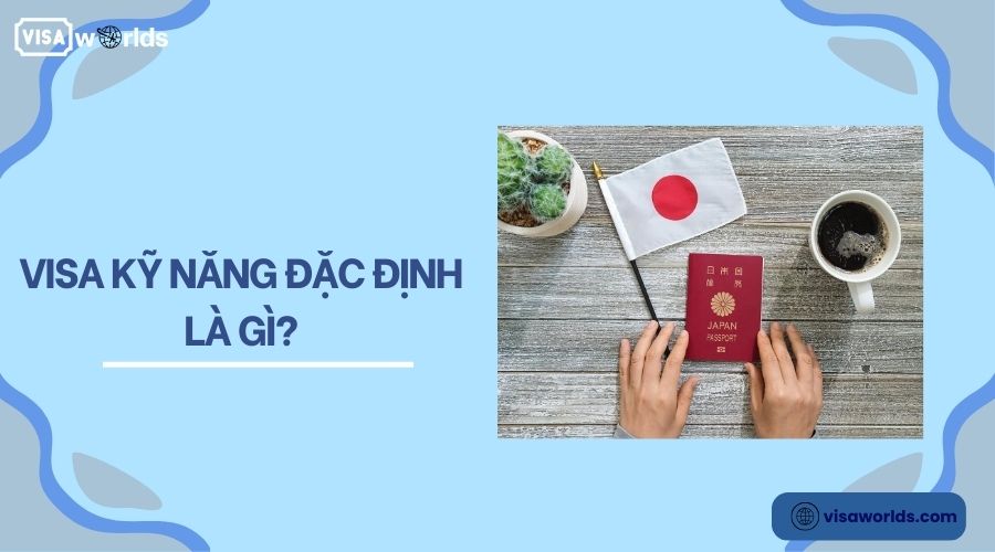 Visa kỹ năng đặc định là gì?